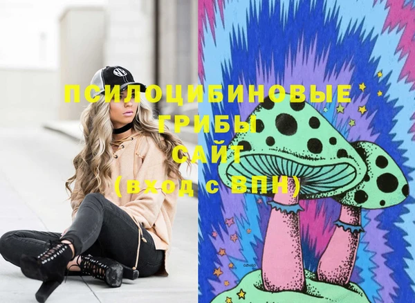 apvp Алексеевка