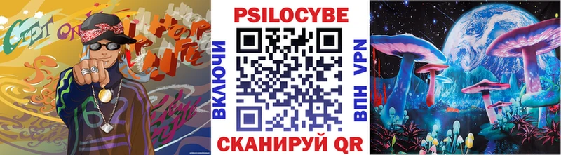 Галлюциногенные грибы Psilocybine cubensis  Находка 